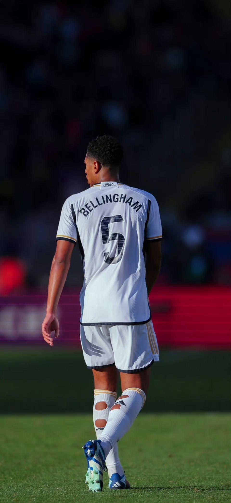 澳大利亚博彩广告禁令覆盖赛事